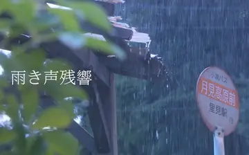 关于雨天的唯美诗句（形容雨天的经典诗句）