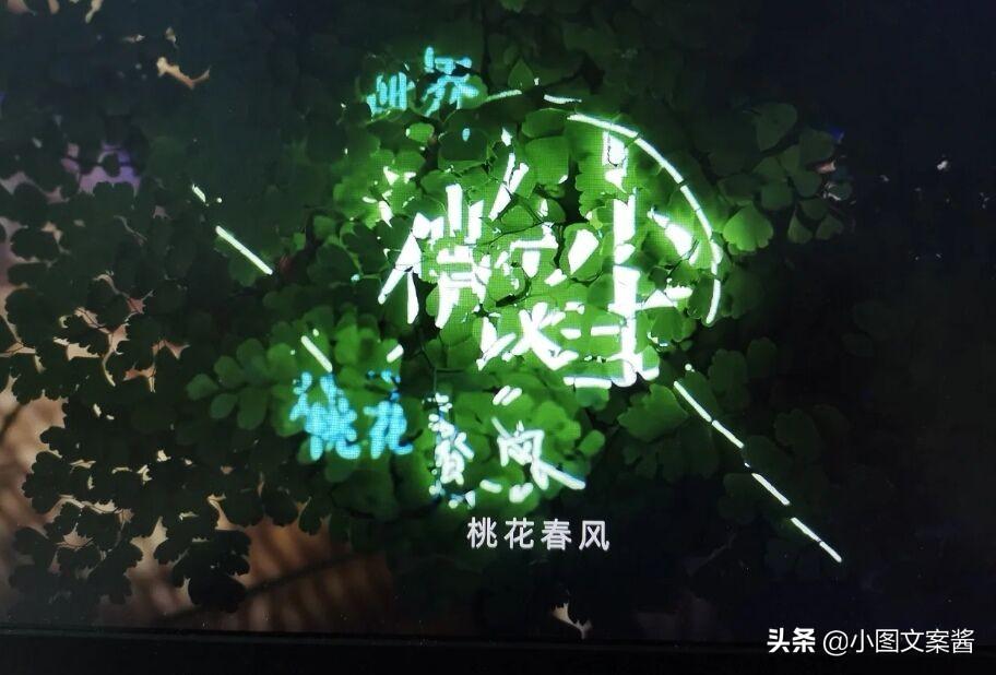 治愈人心的经典语录（治愈情感的暖心文案句子）