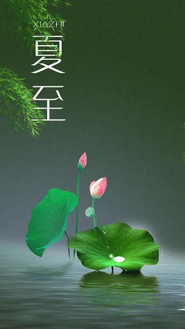 描写夏至的美好诗句（关于夏至的经典诗句）