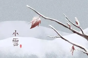 关于小雪节气的诗句（形容小雪节气的诗句）