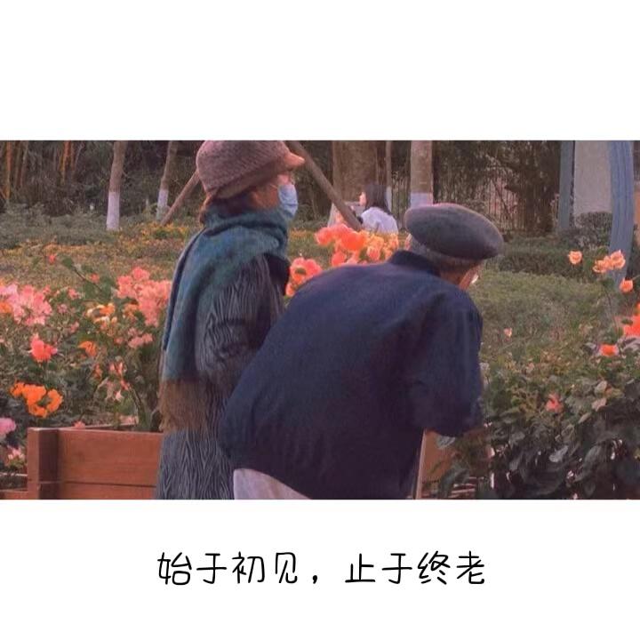 唯美七夕恋爱句子（七夕浪漫告白短句）