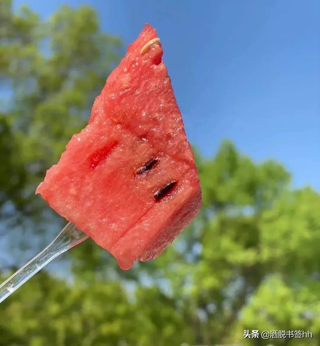 描写夏天的文案句子摘抄（夏天小清新短句）