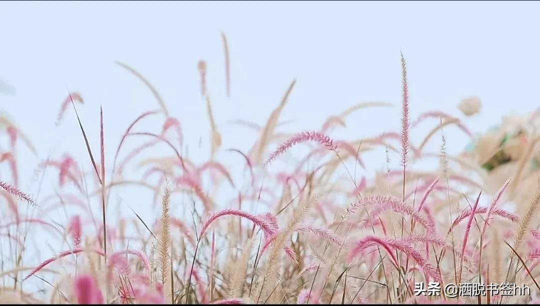 适合发朋友圈的句子（下雨天朋友圈的唯美文案）