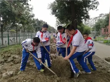 2022小学德育工作总结范文（小学德育实施总结范例）