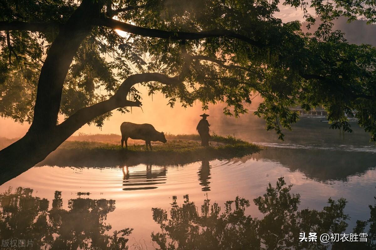 江南仲冬绝句美诗六首（冬春绝句杜牧古诗）