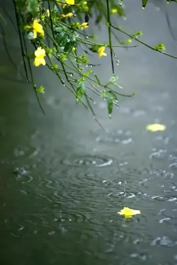 关于雨天的文案句子（描写雨天的干净短句）