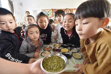 2022世界粮食日工作方案模板（世界粮食日实施方案范本）