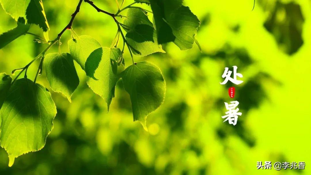 处暑节气的祝福文案句子（适合发朋友圈处暑唯美短句）