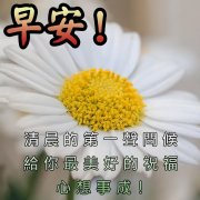 周末愉快祝福语大全（早上好的暖心问候句子）