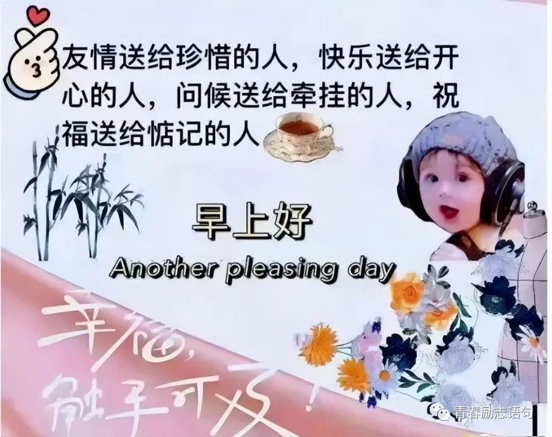 早上好问候语温馨祝福语（早安高情商问候语录）