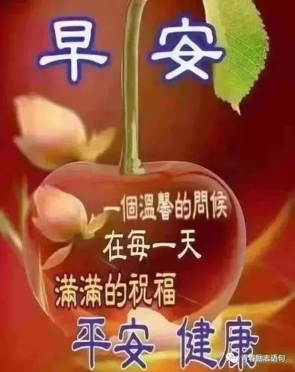 早上好问候语温馨祝福语（早安高情商问候语录）