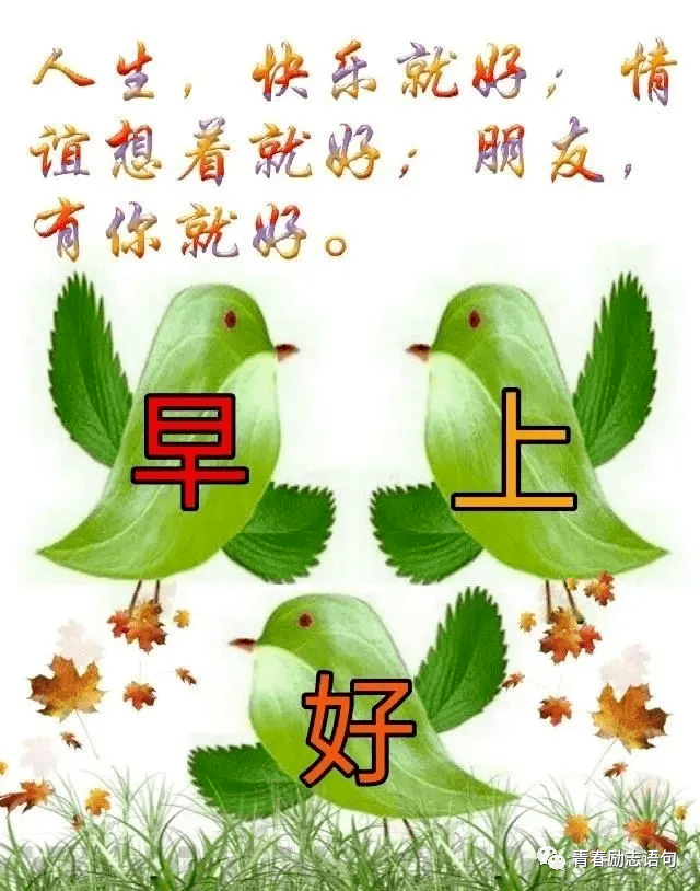 早上好问候语温馨祝福语（早安高情商问候语录）