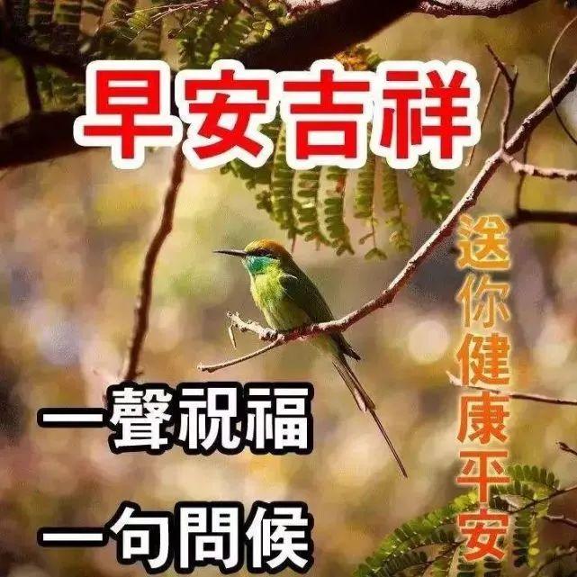 早上好问候语温馨（很甜很撩的早安句子）