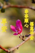 微信早安问候语（关于早安祝福语大全）