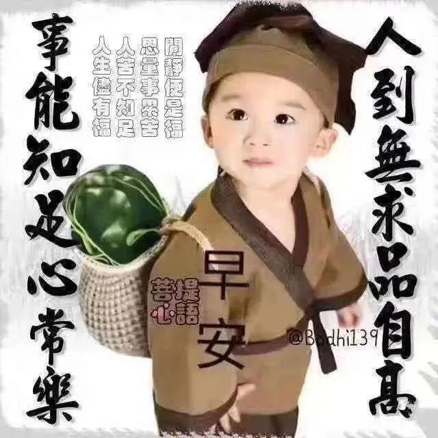 春日早安问候祝福语大全（春天早安句子）