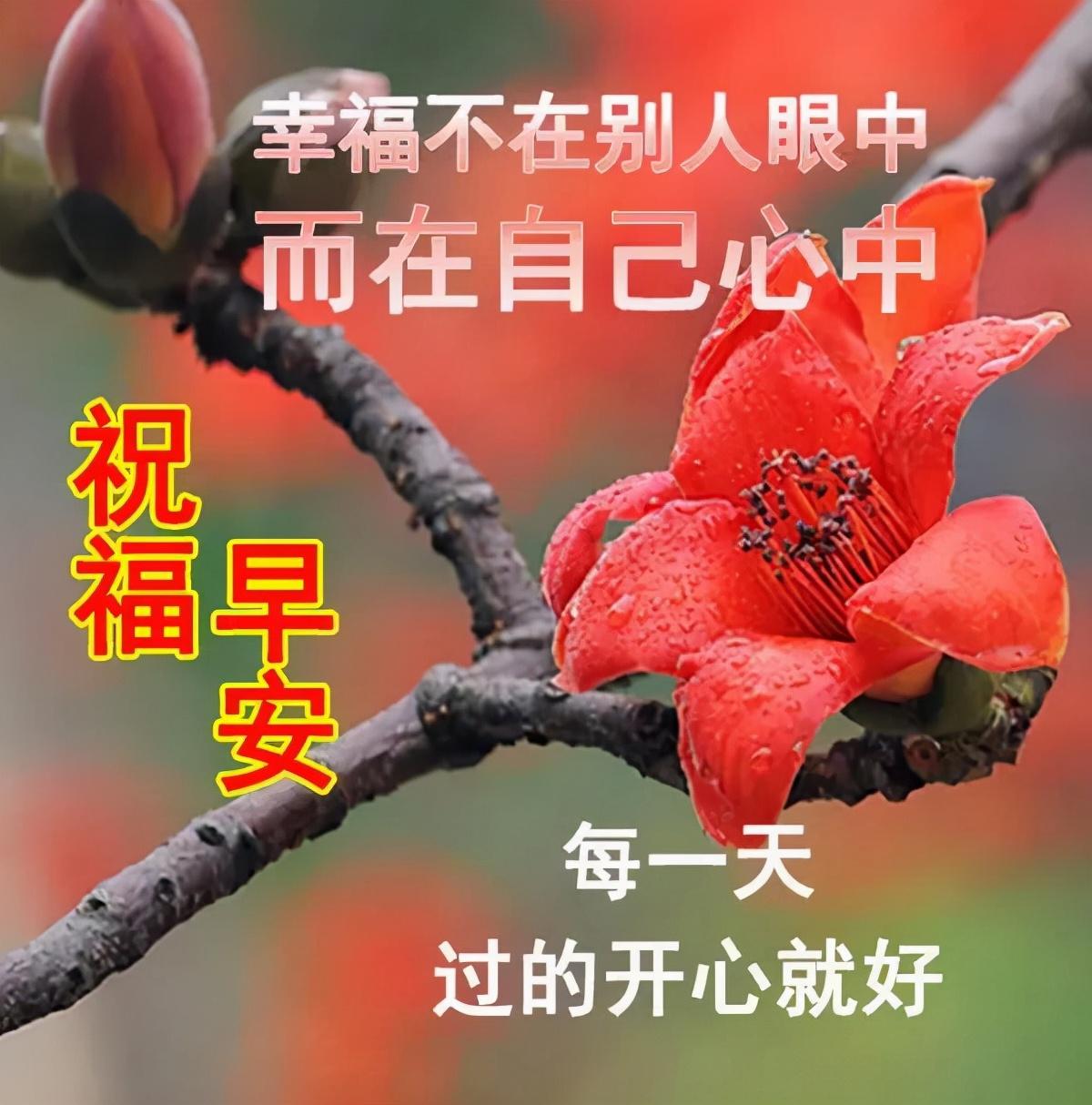 春日早安问候祝福语大全（春天早安句子）