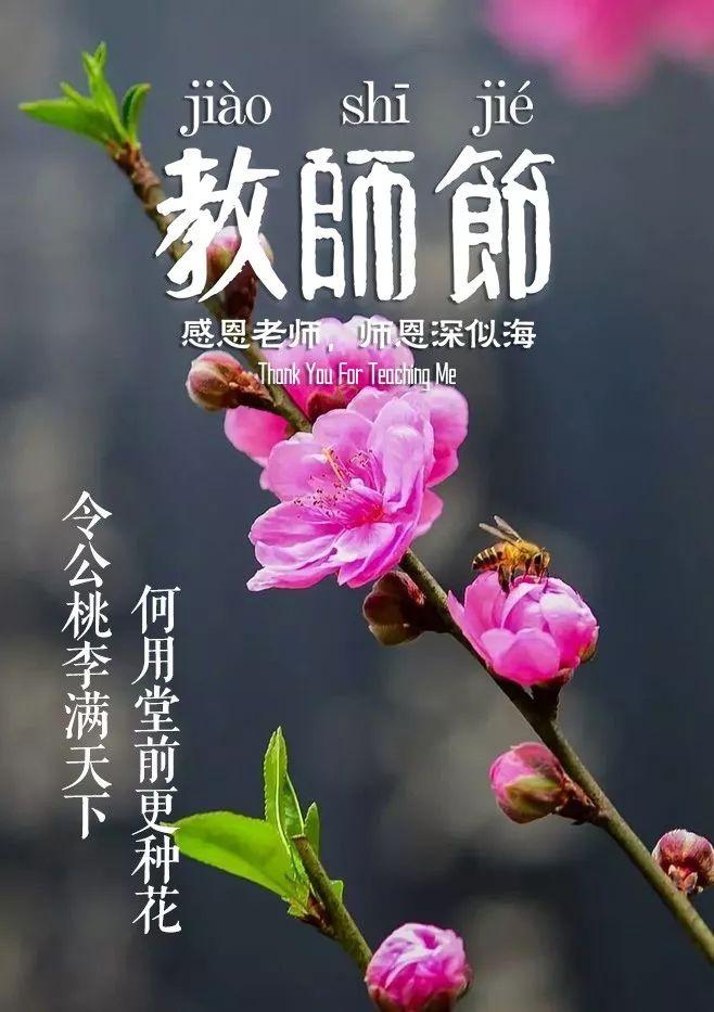 赞美老师的古诗词句（歌颂老师的简短诗句）