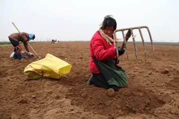 难忘的人600字优秀作文（永生难忘）