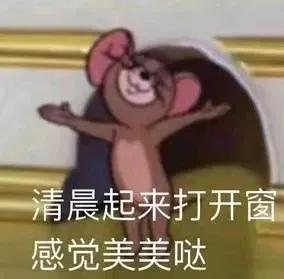 适合早上发朋友圈早安语录（元气满满的早安文案）