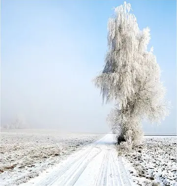 关于雪天的心情文案（适合大雪的走心短句）