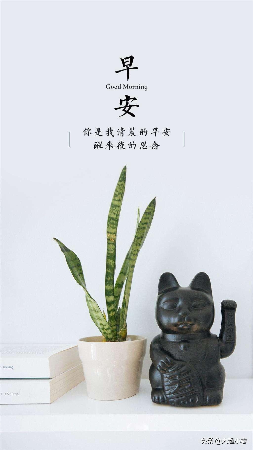 早安正能量祝福语句子（要想改变命运，首先要改变自己）