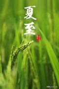 夏至暖心祝福语大全（夏天问候的暖心句子）