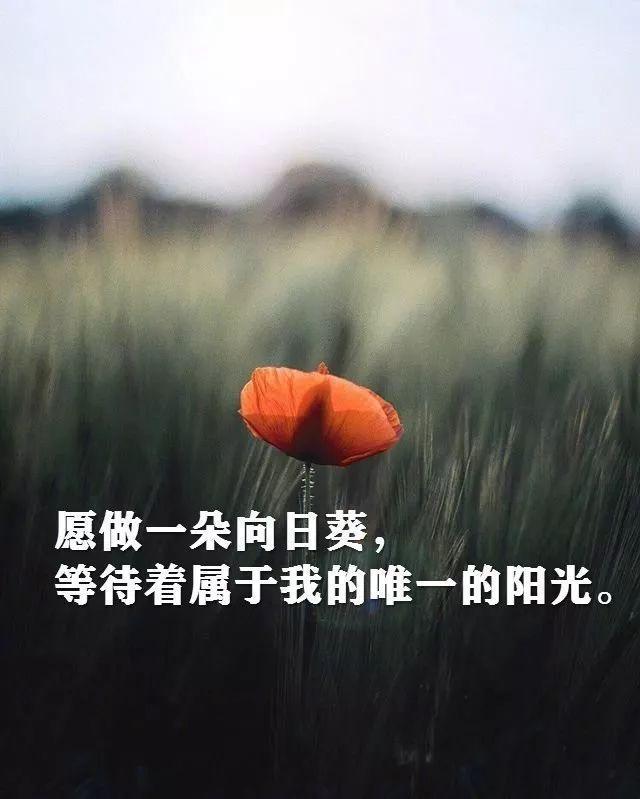 适合发朋友圈人生感悟哲理的简短句子（说到心坎上的励志说说）