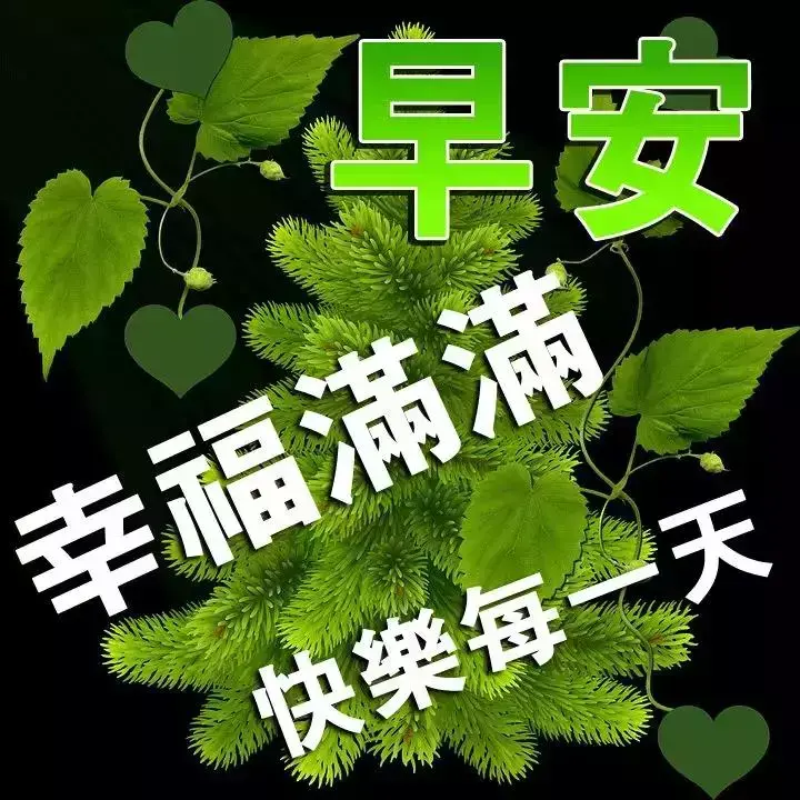 经典赏花说说心情短句（赏花简短句子赏析）