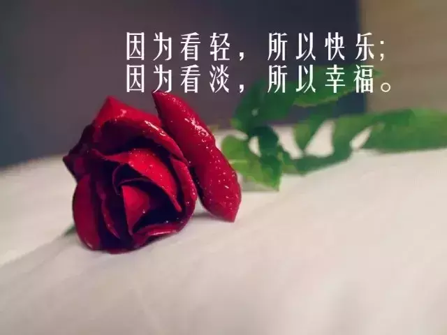 经典赏花说说心情短句（赏花简短句子赏析）