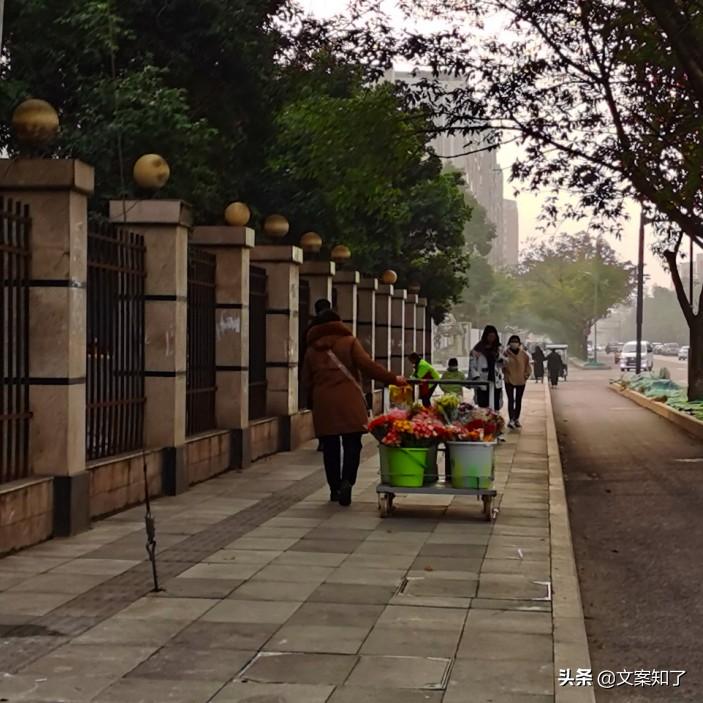 好好生活的文案（干净治愈阳光励志短句）