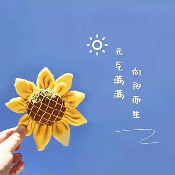 激励自己的阳光短句（适合发圈的正能量短句）