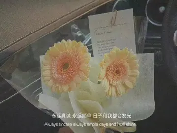 治愈心情的唯美短句（干净治愈的文案）