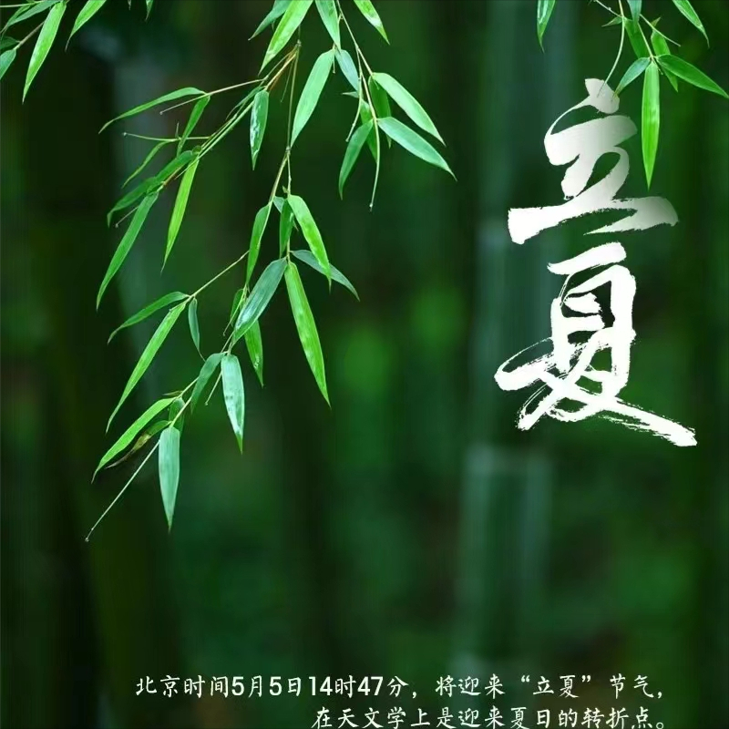 关于立夏的优美句子摘抄（夏天唯美短句）