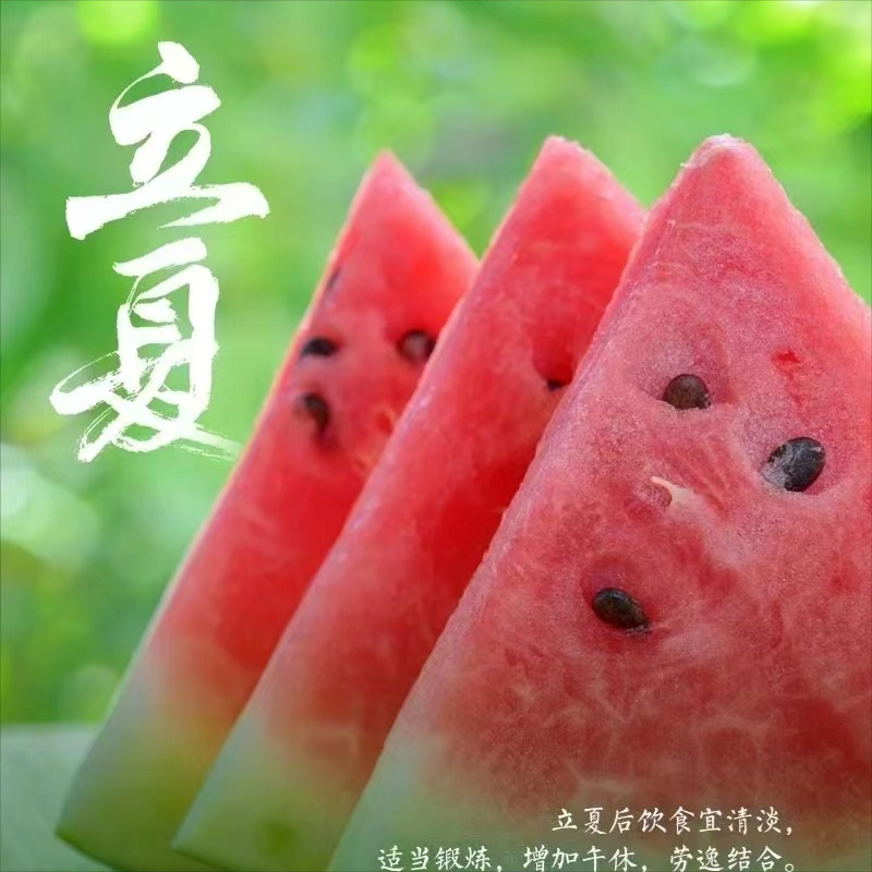 关于立夏的优美句子摘抄（夏天唯美短句）