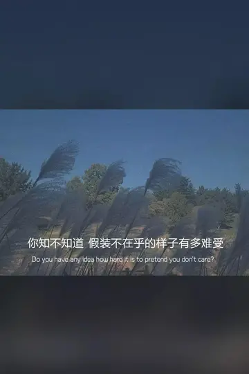 特别精辟的心情语录（打动人心的心情短句）