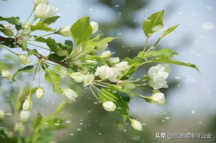 唯美春日古诗词大全（春日意境优美的古诗）