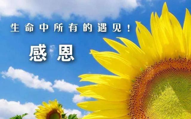 适合感恩节的祝福文案（关于感恩节的文案短句）