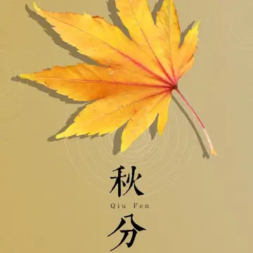 秋分节气的暖心文案（关于秋分的文案短句）