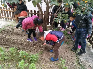 2022大班植树节工作方案模板（大班植树节实施方案范本）