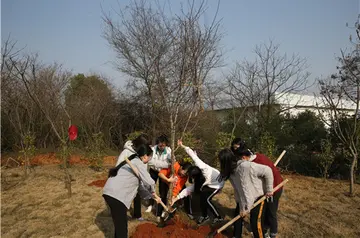 2022植树节策划方案模板（植树节活动方案范本）