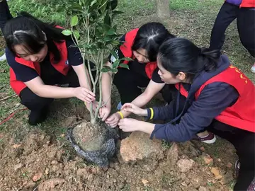 2022社区植树节策划方案模板（社区植树节活动方案范本）