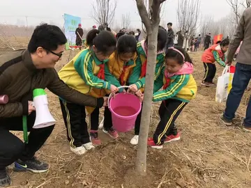 2022小学生植树节工作方案模板（小学生植树节实施方案范本）