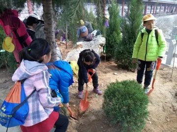 2022小学生植树节工作方案模板（小学生植树节实施方案范本）