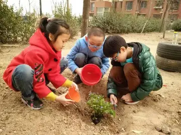 2022学校植树节策划方案模板（校园植树节活动方案范本）