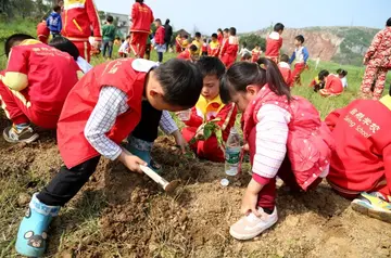 2022幼儿园植树节策划方案模板（幼儿园植树节活动方案范本）