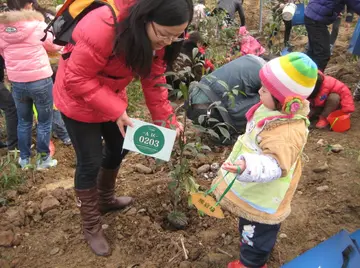 2022中班植树节策划方案模板（中班植树节活动方案范本）