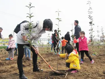 2022中班植树节工作方案模板（中班植树节实施方案范本）