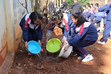 2022中学植树节工作方案模板（中学植树节实施方案范本）