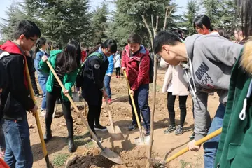 2022植树节主题班会教育工作方案模板（植树节主题班会教育实施方案范本）