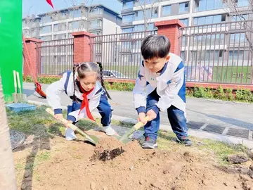 2022小学生植树节策划总结范文（小学生植树节活动总结范例）